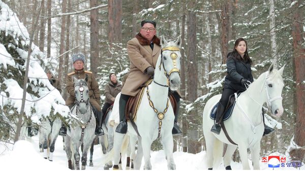 Лидер КНДР Ким Чен Ын во время подъема на священную гору Пэктусан Лидер КНДР Ким Чен Ын во время подъема на священную гору Пэктусан