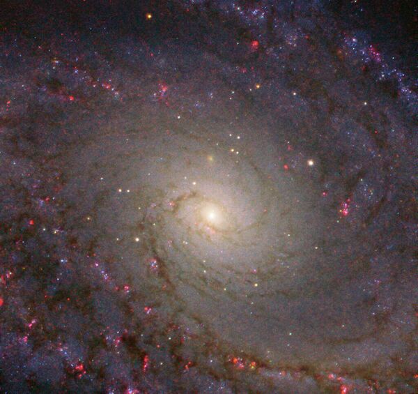 Спиральная галактика NGC 5364 Спиральная галактика NGC 5364