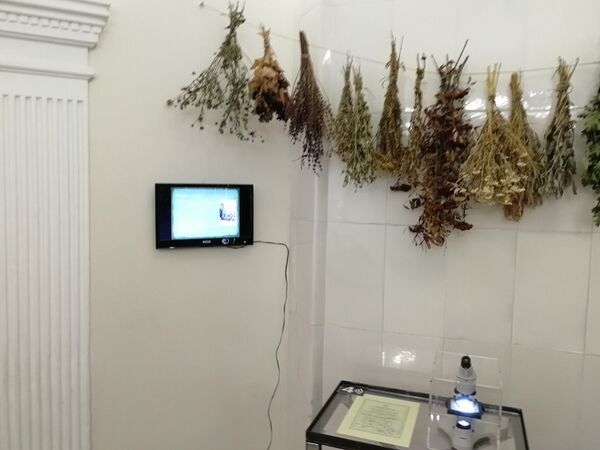 Старая тульская аптека. Под микроскопом - подкованная блоха Старая тульская аптека. Под микроскопом - подкованная блоха