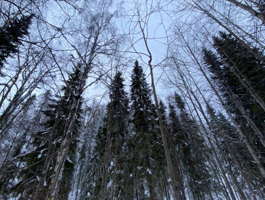 Программа Удиви меня Программа Удиви меня