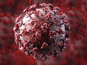 Коронавирус COVID-19 Коронавирус COVID-19