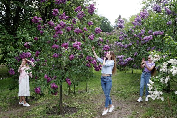 Девушки фотографируются с цветущей сиренью в Ботанический саду в Киеве, Украина Девушки фотографируются с цветущей сиренью в Ботанический саду в Киеве, Украина