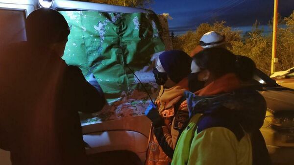 Поиски пропавшей девочки под Псковом Поиски пропавшей девочки под Псковом