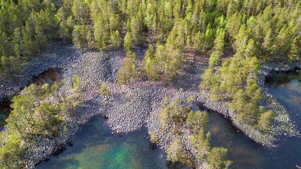 Уксинская озовая гряда в Карелии Уксинская озовая гряда в Карелии