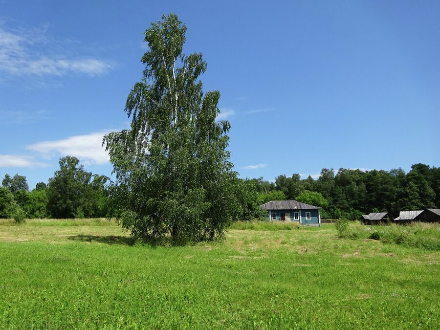 Кинодеревня и киногород Кинодеревня и киногород