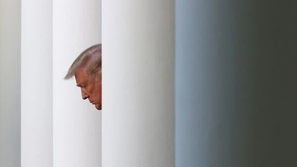 Президент США Дональд Трамп Президент США Дональд Трамп