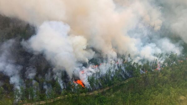 Ученые предупредили об ухудшении пожарной обстановки в Якутии