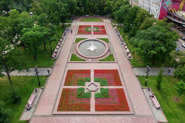 Цветник в Новопушкинском сквере Цветник в Новопушкинском сквере