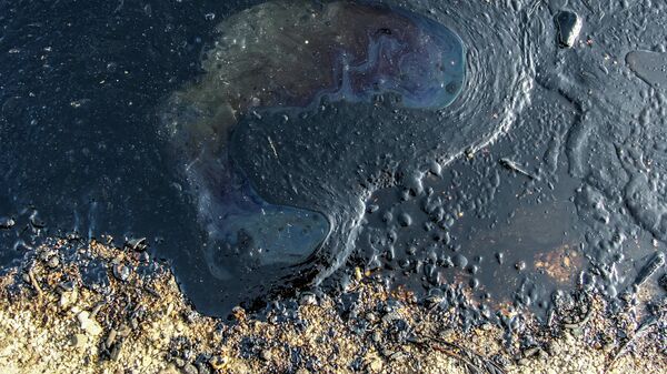 На берегу Оби обнаружили пятно от разлива нефтепродуктов