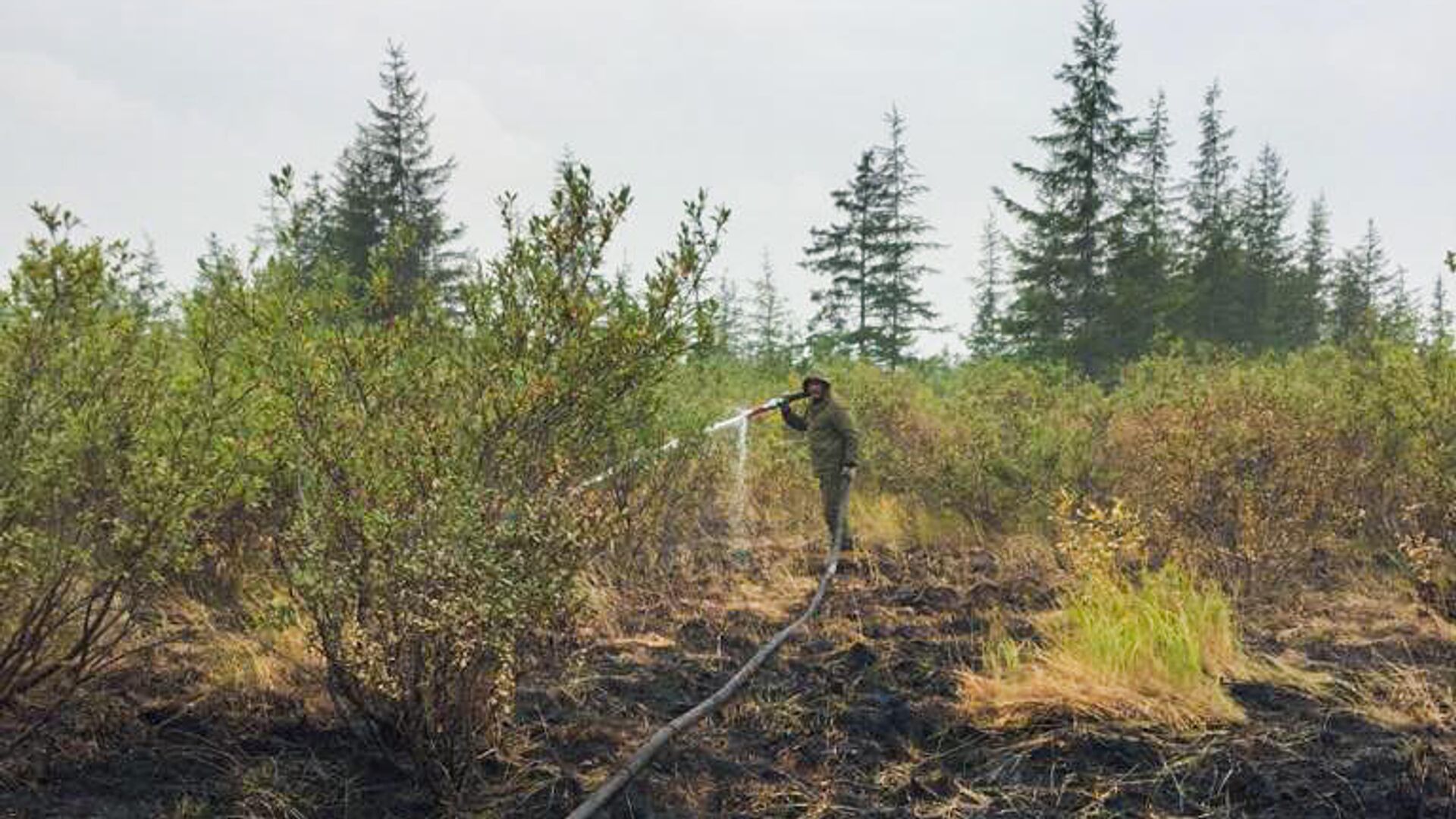 В Якутию прибудут 150 парашютистов-десантников на тушение лесных пожаров