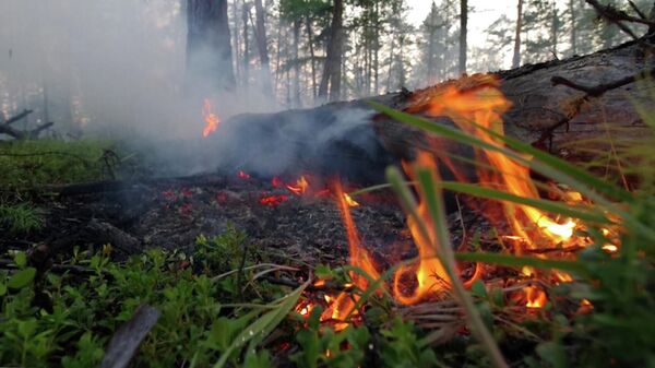 Аэропорт Якутска задержал рейсы из-за дыма от лесных пожаров