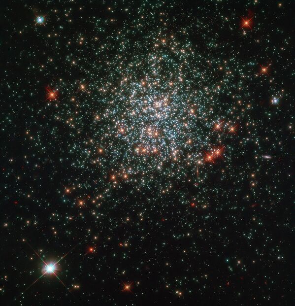 Звездное скопление NGC 2203, сфотографированное космическим телескопом Hubble Звездное скопление NGC 2203, сфотографированное космическим телескопом Hubble