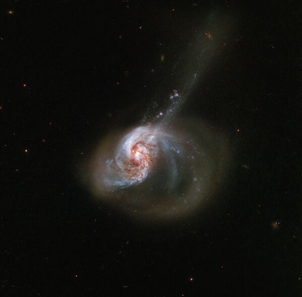 Пекулярная спиральная галактика с перемычкой NGC 1614 в созвездии Эридан Пекулярная спиральная галактика с перемычкой NGC 1614 в созвездии Эридан