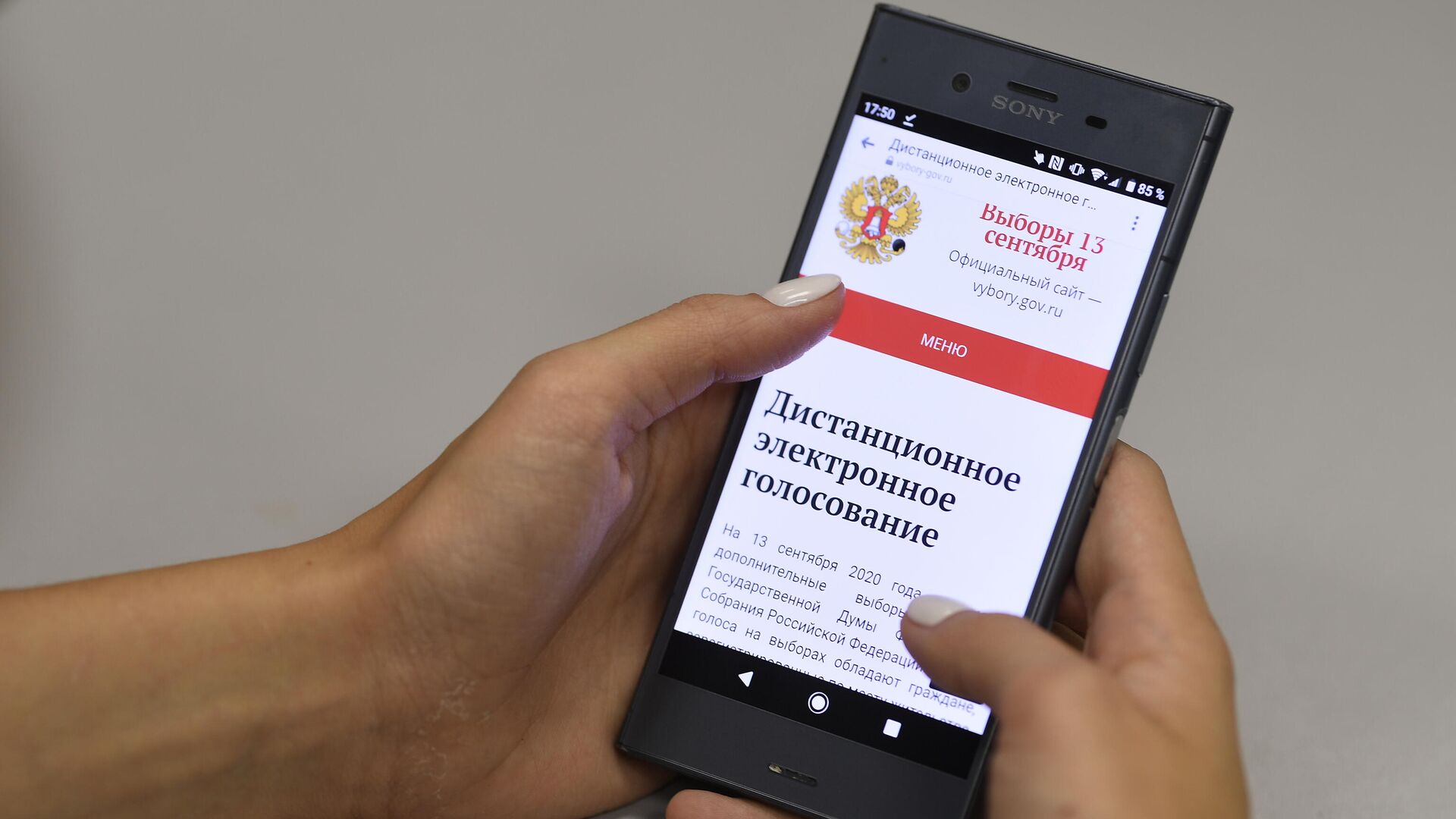 ЦИК создал избирком по электронному голосованию на выборах в Госдуму