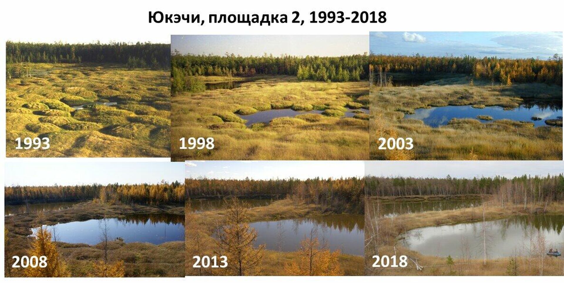 Процесс таяния многолетней мерзлоты на станция наблюдения за мерзлотой Юкэчи Процесс таяния многолетней мерзлоты на станция наблюдения за мерзлотой Юкэчи - РИА Новости, 1920, 14.09.2020