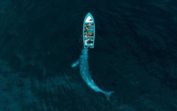 Joseph Cheires. Работа победителя конкурса Drone Photo Awards 2020 Joseph Cheires. Работа победителя конкурса Drone Photo Awards 2020
