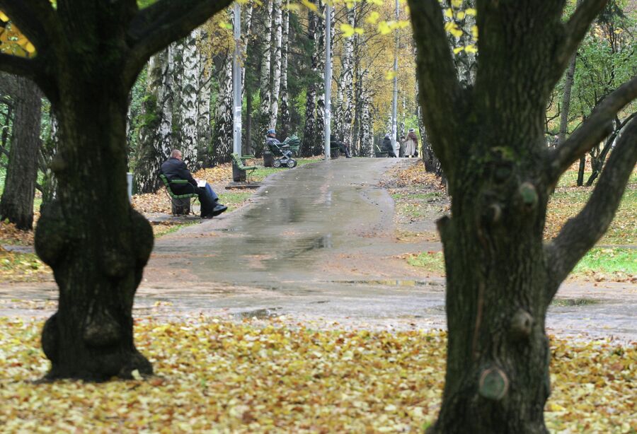 Парковая зона у Северного речного порта в осенний, пасмурный день. Парковая зона у Северного речного порта в осенний, пасмурный день.