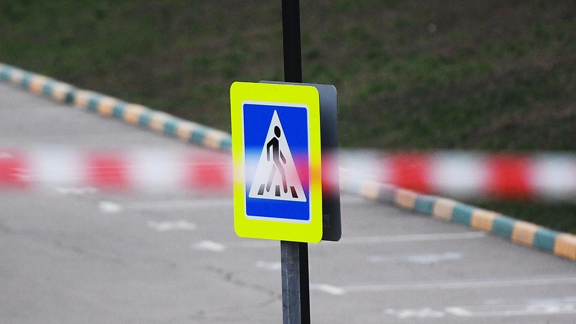 В Кузбассе автомобиль насмерть сбил супругов на пешеходном переходе