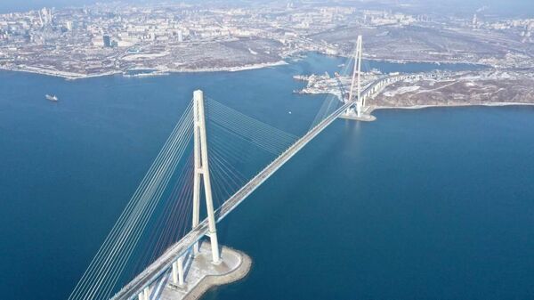 Кожемяко оценил состояние конструкции моста на остров Русский