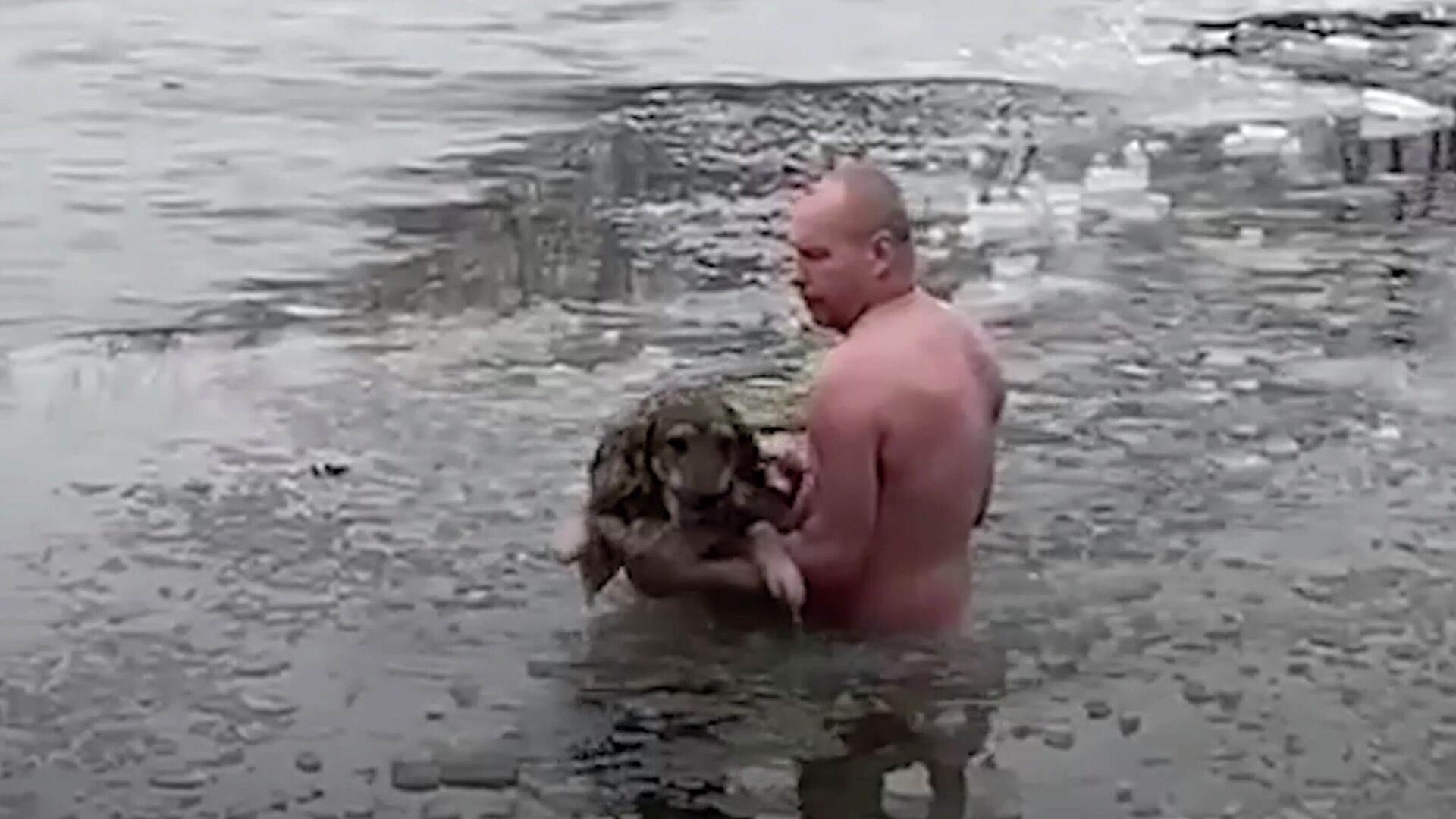 Мужчина спас собаку. Мужчина спас собаку из ледяной воды. Собака и женщина в ледяной воде, мужчина спасает.... Мужчина спасает тонущую собаку зимой. Мужчина спас щенка из проруби.