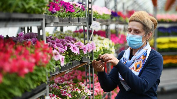 Высадка цветов в Москве Высадка цветов в Москве