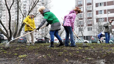 Общегородской субботник в Москве Общегородской субботник в Москве