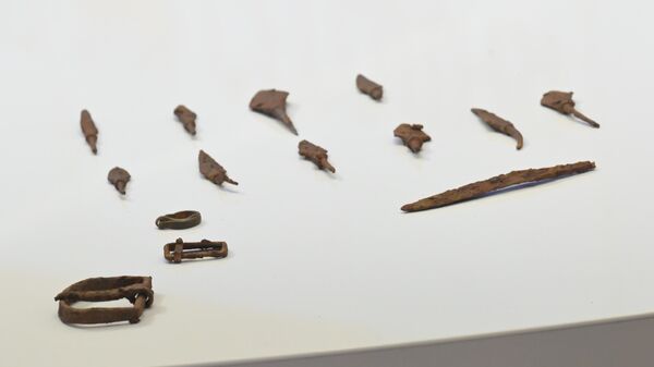 Более 800 артефактов обнаружили ученые на месте Судбищенского сражения