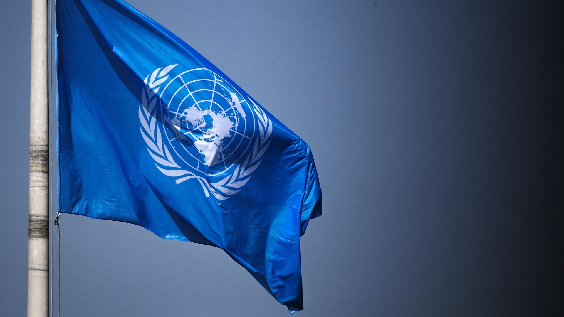 Флаг ООН на территории Дворца мира в Гааге - РИА Новости, 1920, 13.08.2021