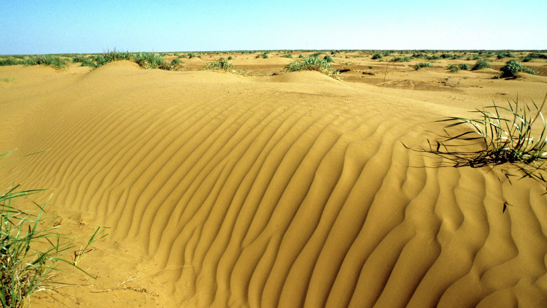 Песчаные Барханы Калмыкии