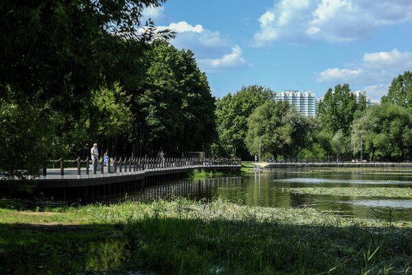 Благоустройство в парке Усадьба Михалково Благоустройство в парке Усадьба Михалково