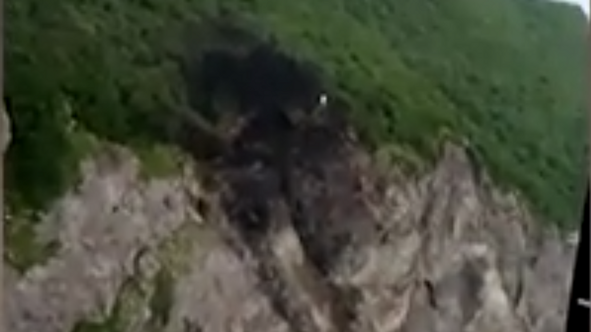 Появилось новое видео с места крушения Ан-26 на Камчатке Появилось новое видео с места крушения Ан-26 на Камчатке