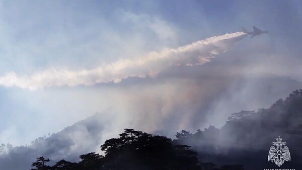 На Камчатке потушили природный пожар в Корякском заповеднике