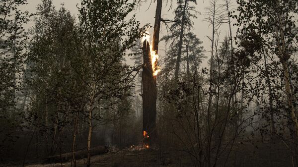 Глава Якутии рассказал о ситуации с лесными пожарами