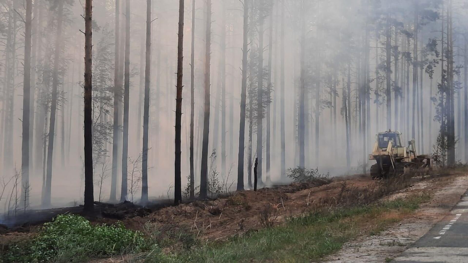В Марий Эл 634 человека эвакуировали из санаториев из-за лесного пожара