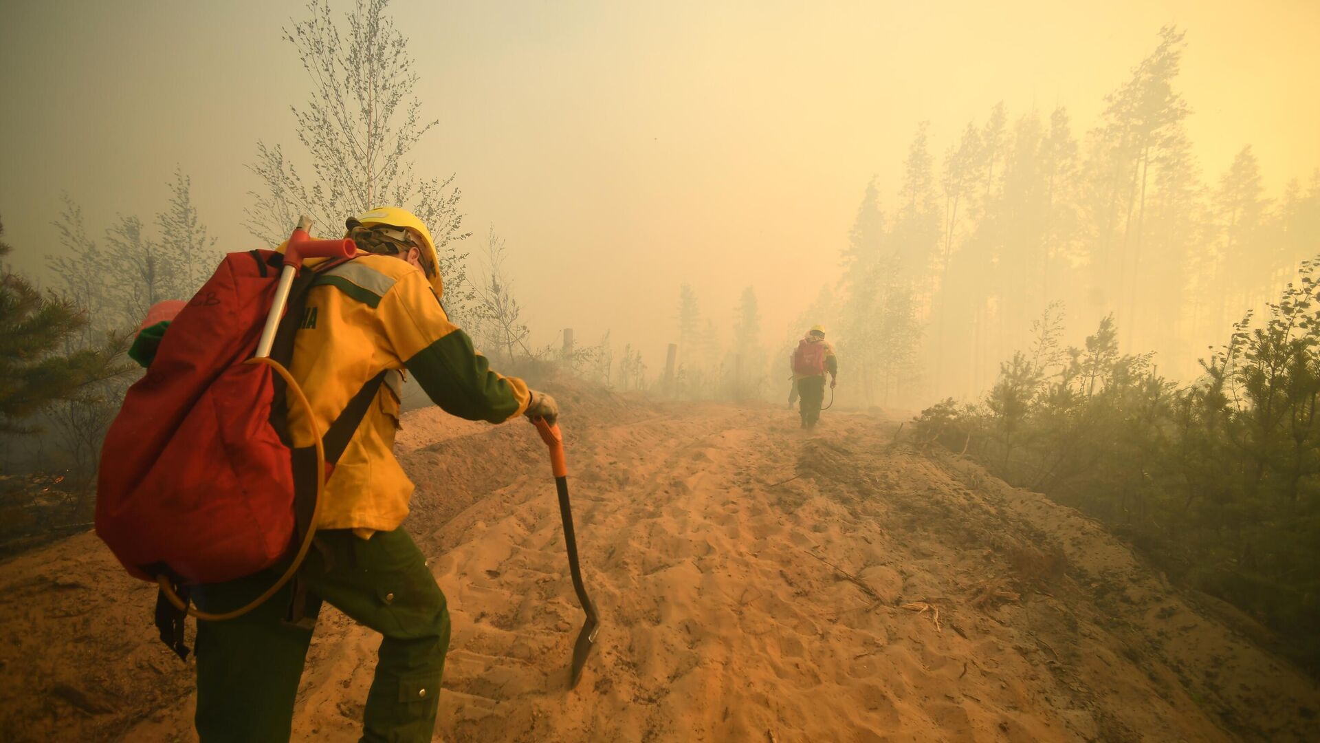 В России за сутки потушили 18 лесных пожаров