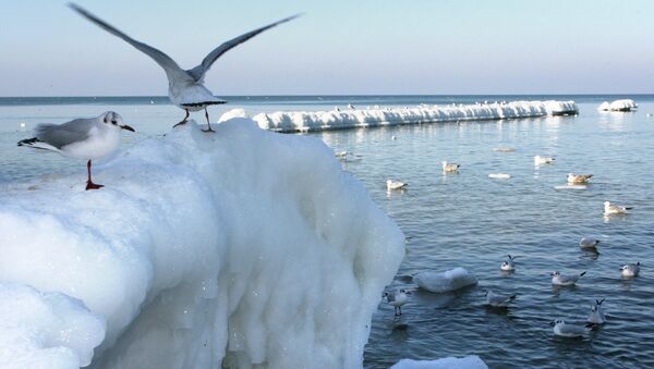 Балтийское море в Калининградской области. Архивное фото Балтийское море в Калининградской области. Архивное фото