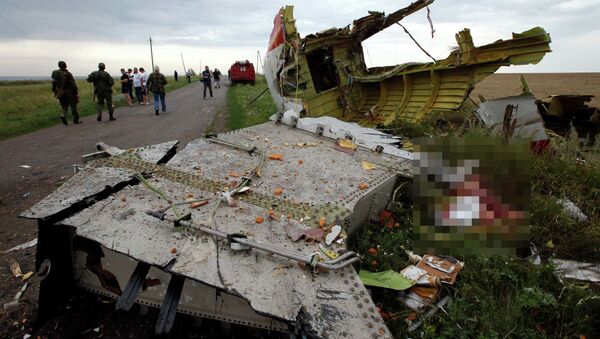 Обломки Boeing 777 компании Malaysia Airlines в районе села Грабово в Донецкой области Обломки Boeing 777 компании Malaysia Airlines в районе села Грабово в Донецкой области