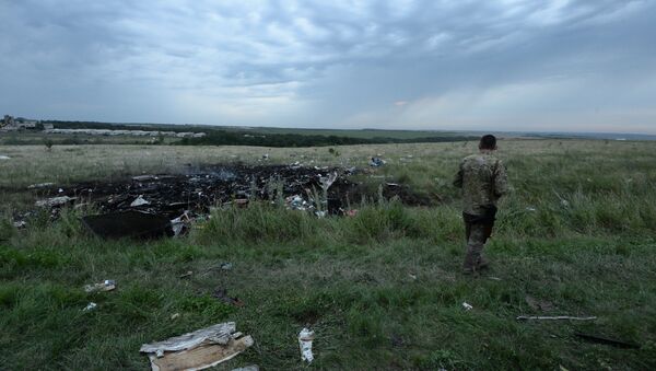 Крушение малайзийского Boeing на Украине. Архивное фото Крушение малайзийского Boeing на Украине. Архивное фото