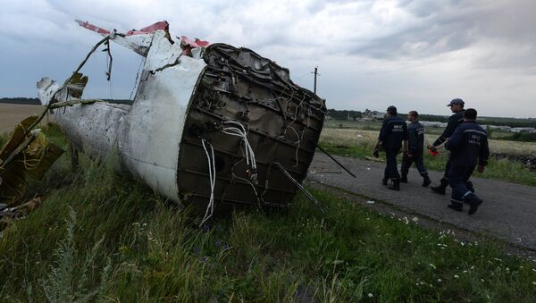 Крушение малайзийского Boeing на Украине. Архивное фото Крушение малайзийского Boeing на Украине. Архивное фото