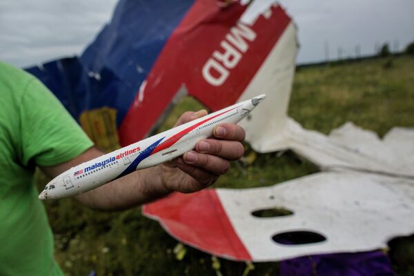 Поисковые работы на месте крушения малазийского лайнера Boeing 777 в районе Шахтерска Поисковые работы на месте крушения малазийского лайнера Boeing 777 в районе Шахтерска