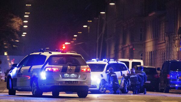 Полиция на месте стрельбы в Копенгагене, Архивное фото Полиция на месте стрельбы в Копенгагене, Архивное фото