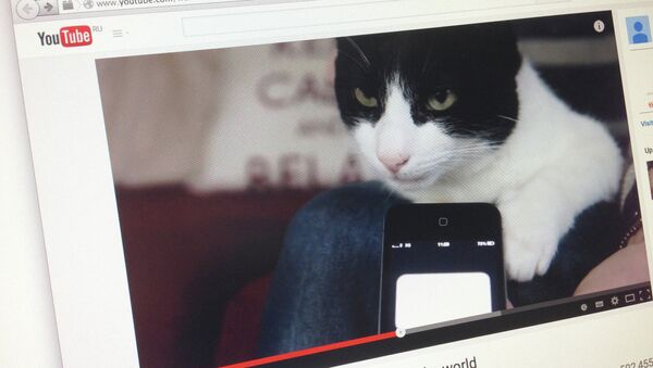 Страница сайта YouTube с кадром из видео с кошкой Мерлин, попавшей в книгу рекордов Гиннесса Страница сайта YouTube с кадром из видео с кошкой Мерлин, попавшей в книгу рекордов Гиннесса