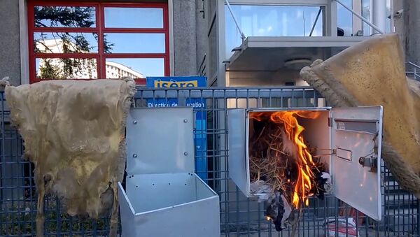 Протестующие французские фермеры жгли почтовые ящики у администрации Гренобля Протестующие французские фермеры жгли почтовые ящики у администрации Гренобля