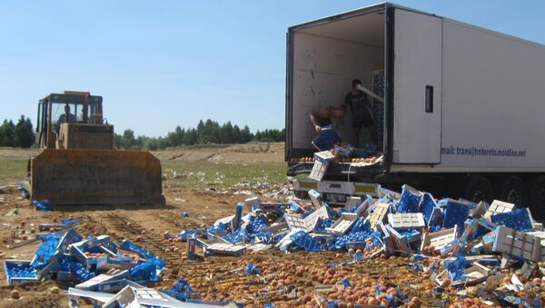 Уничтожение санкционной продукции в России. Архивное фото Уничтожение санкционной продукции в России. Архивное фото
