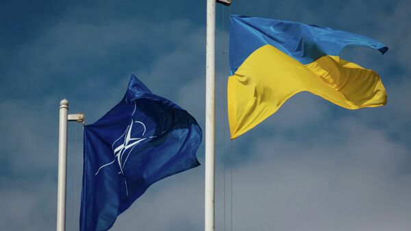 На Украине анонсировали перезапуск отношений с НАТО