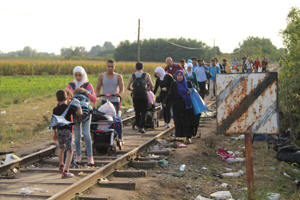 Беженцы, не успевшие перейти на венгерскую сторону, бредут вдоль границы Беженцы, не успевшие перейти на венгерскую сторону, бредут вдоль границы
