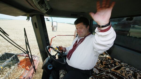 Министр иностранных дел Украины Петр Порошенко. 9 октября 2009 года Министр иностранных дел Украины Петр Порошенко. 9 октября 2009 года