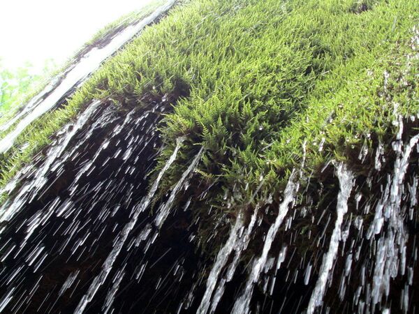 Водопад Серебряные струи в Крыму Водопад Серебряные струи в Крыму