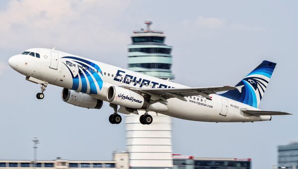 Фотография потерпевшего крушение пассажирского самолета A320 авиакомпании EgyptAir, сделанная в Вене 21 августа 2015 года Фотография потерпевшего крушение пассажирского самолета A320 авиакомпании EgyptAir, сделанная в Вене 21 августа 2015 года