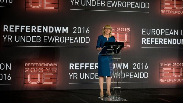 Глава избирательной комиссии Дженни Уотсон перед объявлением результатов референдума по сохранению членства Великобритании в ЕС Глава избирательной комиссии Дженни Уотсон перед объявлением результатов референдума по сохранению членства Великобритании в ЕС